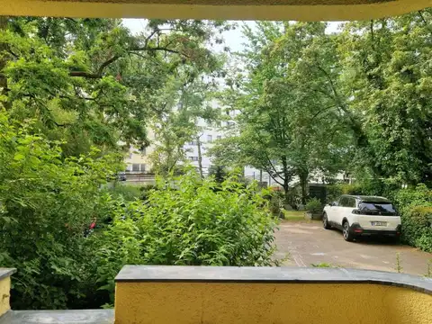 View of the garden