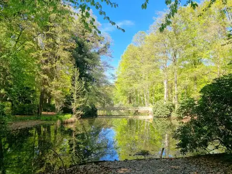 View of the lake near the house